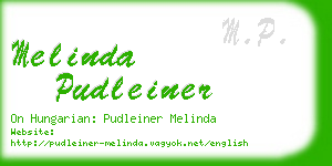 melinda pudleiner business card